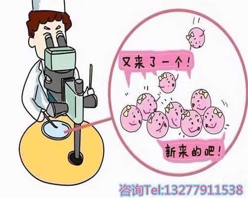 同卵双胞胎有龙凤胎吗