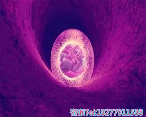 苏州供卵试管助孕机构捐卵试管儿子正规吗？