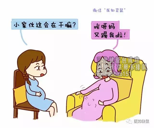 上海喜贝之家供卵费用_中国三代试管基因检测技术开启“合规”时代，贝康医