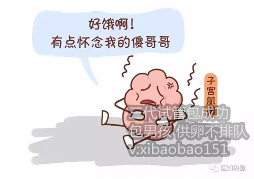 上海试管婴儿供卵包男孩_猫鼻支治疗