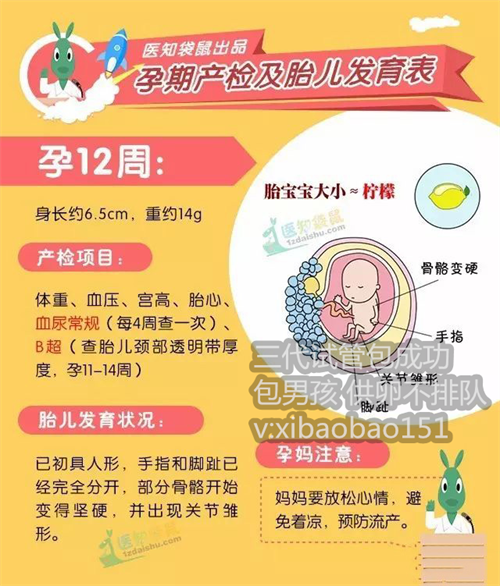 上海正规供卵公司_移植囊胚大忌移植1个是为什么？为什么囊胚只移植一个？