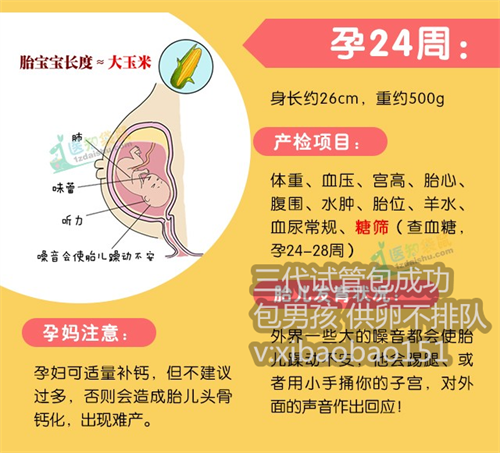 上海供卵公司名单_试管移植囊胚比鲜胚成功率更高吗？如何选择？