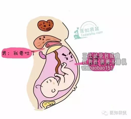 上海二代供卵试管_柳州市妇幼保健院可以做三代试管婴儿吗？成功率高不高？